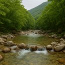 용문산관광지(주차장화장실) 이미지