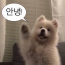 8월 일상 (2)