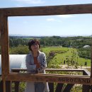 태진목장 이미지