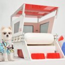 Dog House 이미지