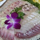 박영철 사시미 이미지