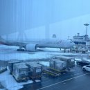 눈비향공방 | 2023년 1월 비와눈이 함께 한 제주여행✈️