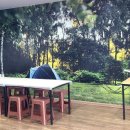 베조아니 이미지