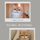 Golden Birthday 이미지