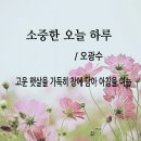 소중한오늘 이미지