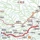 구룡중식 티스토리