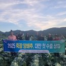 죽장시장 이미지