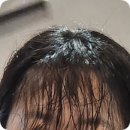 씨유 예미지행복점 | 대전 도안동미용실 나나펌 단발펌 잘하는곳 이키가이