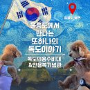 울릉도 여행 코스 독도의용수비대 기념관 안용복기념관 및 야영장 예약 방법까지!