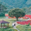 천령산 화장실 이미지