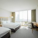 소노캄 고양 이미지