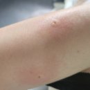 목동사이렌의원 이미지