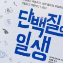 샤프롱 이미지