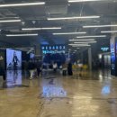 쉑쉑버거 쉐이크쉑 코엑스 베리 투게더 세트(쉑버거, 치킨쉑, 음료2잔)~♥