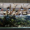 세화사료 이미지