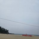 덕봉산 | 삼척 '덕봉산 해안 생태탐방로' 후기, 바다 보며 걷기 좋은 산책코스!