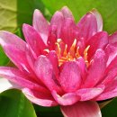 남생이못 습지생태 관찰원 이미지