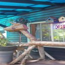 몽비쥬펜션 이미지