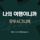디스코포차 이미지