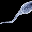 보문PC방 이미지