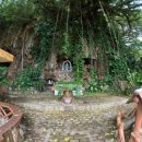 새한마트 | 4박5일 사이판 여행의 모든것