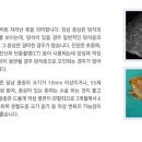 용*종