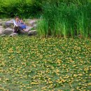 화남초등학교 앞2 이미지