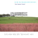 미리내농장 | 안성팜랜드 핑크뮬리와 코스모스가 함께 핀 가을 풍경