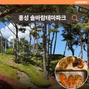 사점세월교 | 홍성 솔바람테마파크 베이커리카페 후기, 아이와 가족 나들이로 좋은 충남 가볼만한곳