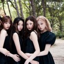 비주얼맵스