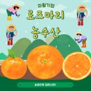 제주사람들농수산