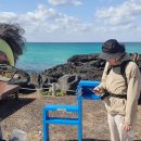 제주 올레길 14코스 이미지