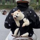 샌드리아