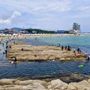 송지호 해수욕장 이미지