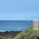 삼화빌라 | 제주도 블로그 체험단 제주 3박4일 여행 숙소 맛집 총정리