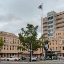 대원청과 이미지