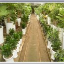 정우농원 이미지