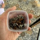 [아이와 제주] 버드아일랜드 앵무새카페 다녀온 후기