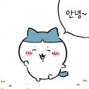 블랙김밥 | [강남구] 소고기 육회김밥 깍두기볶음밥 후기_한와담블랙 강남점