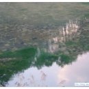 황강은빛백사장길 이미지