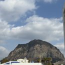 사계호스텔 | 혼자 옵서예, 제주 Day 2 🍊