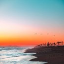 캘리포니아 이미지