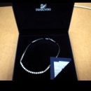 샤로브냐 이미지