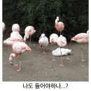 D00515 이미지