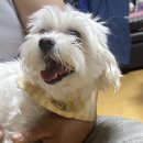 신양농협하나로마트 이미지