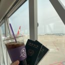 [보라카이] 1 일차 : 게리스그릴➡할로망고➡디몰환전➡헬로스파➡돈피토(펍)