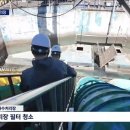 교대로 Daum카페