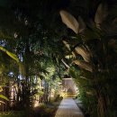 G9호텔 | 필리핀 세부 &#34;코스타벨라 리조트&#34;🏝 (Costabella Tropical Beach Hotel) 리뷰(+조식, +수영장포함)