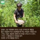 농부랜드 이미지