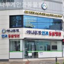 아나푸게안과동물병원 네이버블로그